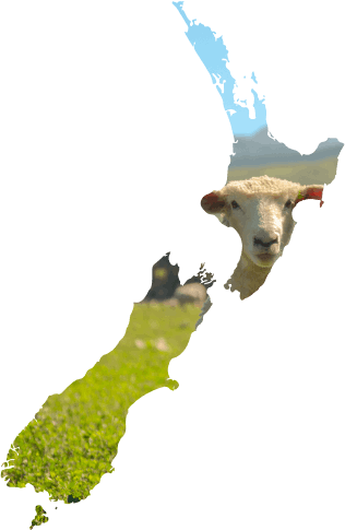 מפת ניו זילנד עם כבשה